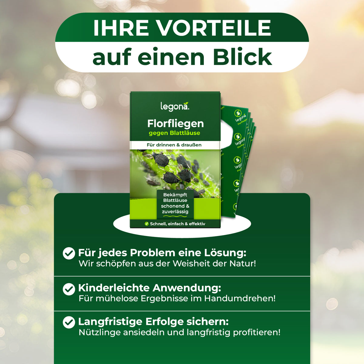 Florfliegenlarven gegen Blattläuse und Thripse