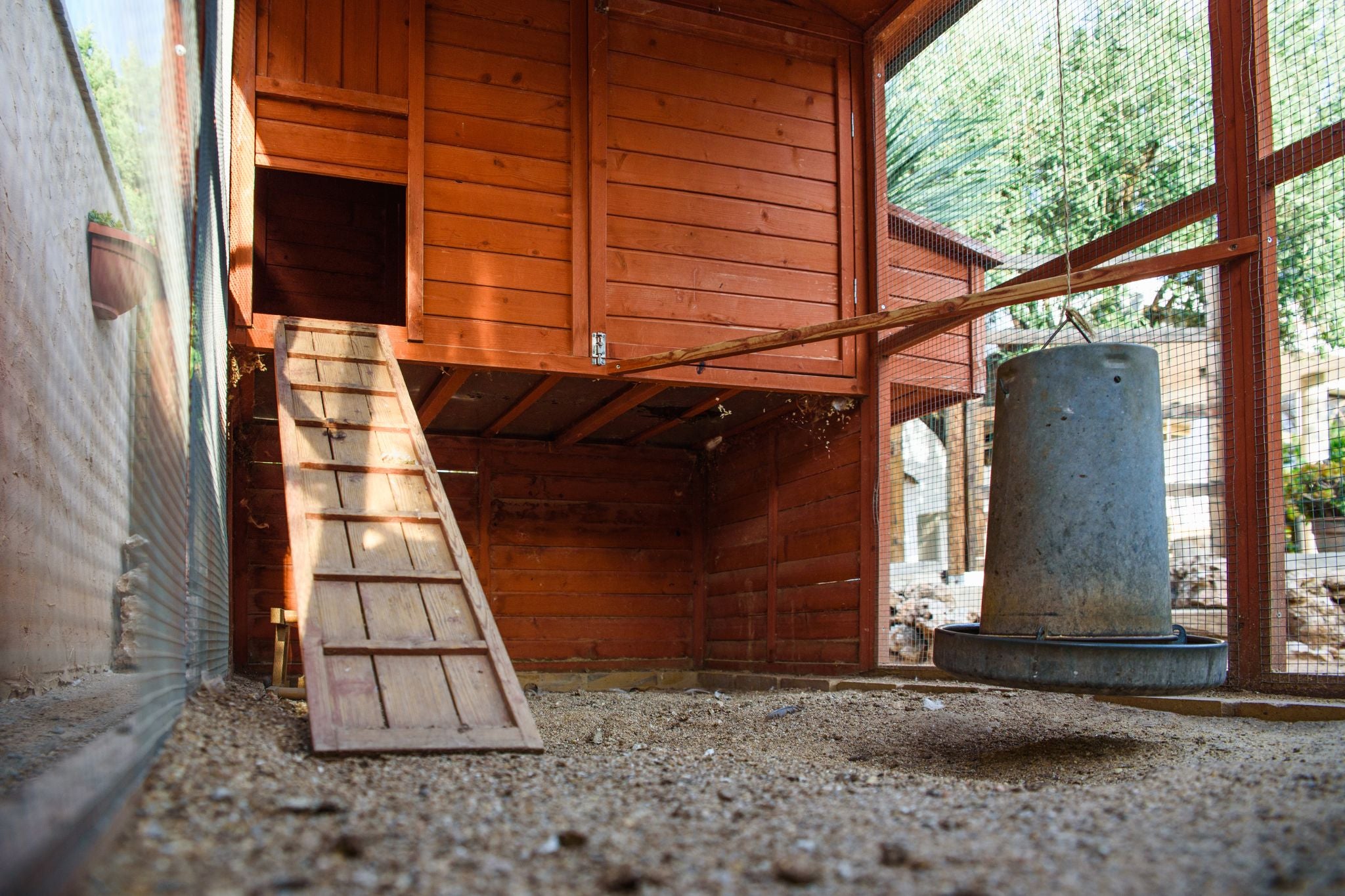 Innenansicht eines Hühnerstalls mit Holzrampe, Sitzstange und Futterspender