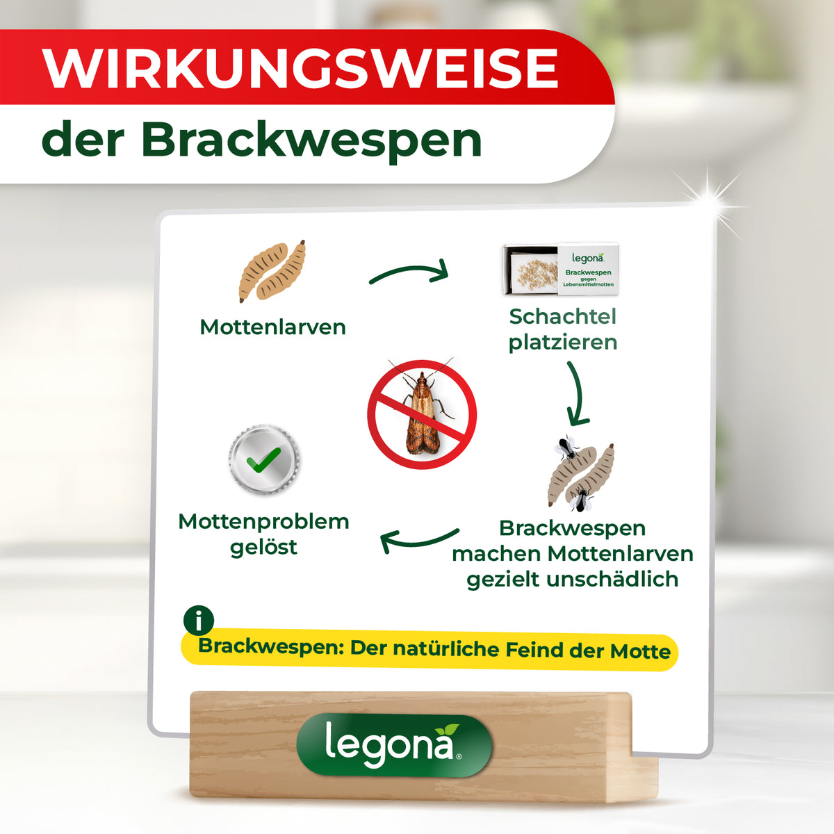 Infografik zur Wirkungsweise der Brackwespen: Bekämpfung gegen Mottenlarven, Schachtel platzieren und dem Hinweis, dass Brackwespen Mottenlarven gezielt unschädlich machen, mit dem Logo von Legona auf einem Holzständer.