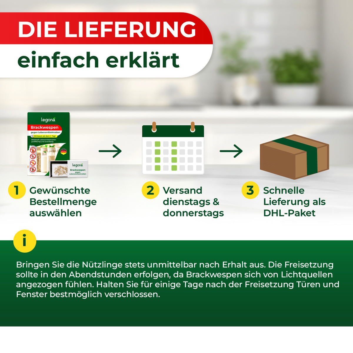 Grafik mit drei Schritten zur Lieferung: 1. Gewünschte Bestellmenge auswählen, 2. Versand von Di-Do, 3. Schnelle Lieferung als DHL-Paket, darunter Hinweis zur Freisetzung von Brackwespen