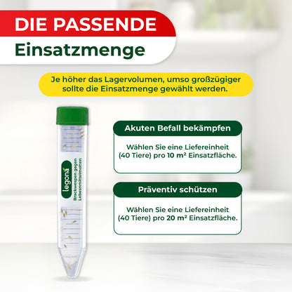 Legona Brackwespen in einer transparenten Kunststoffröhre mit grünem Deckel, Anleitung zur passenden Einsatzmenge bei akutem Befall und präventivem Schutz