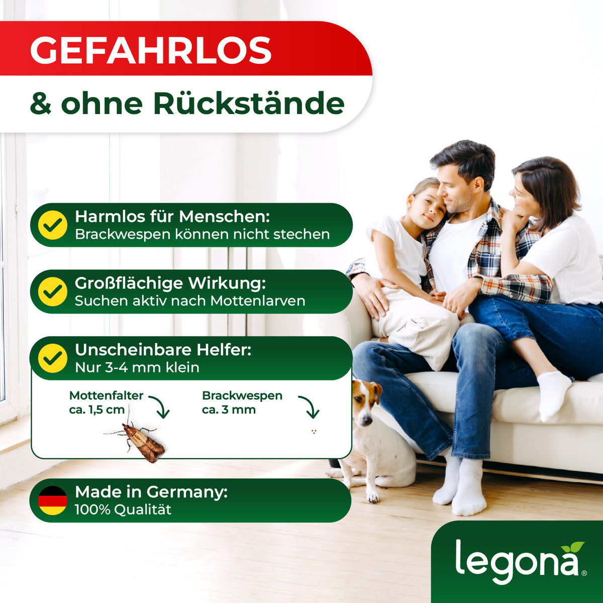 Familie mit zwei Kindern und Hund sitzt entspannt auf einem weißen Sofa in hellem Raum neben Textbox mit Produktinformationen zu Brackwespen
