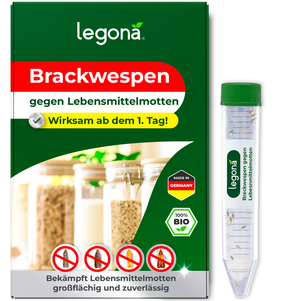 Verpackung und Versandröhrchen des Produkts 'Legona Brackwespen' gegen Lebensmittelmotten mit Texten und Symbolen auf grünem Hintergrund
