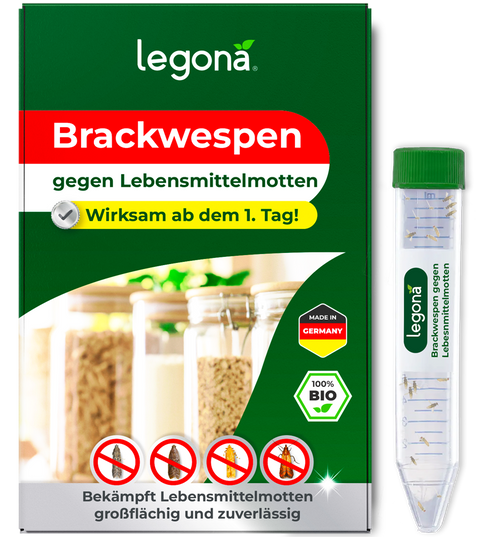Verpackung und Versandröhrchen des Produkts 'Legona Brackwespen' gegen Lebensmittelmotten mit Texten und Symbolen auf grünem Hintergrund