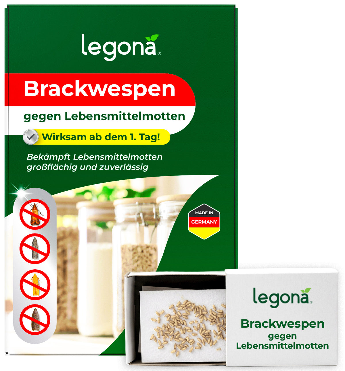 Packung des Produkts Legona Brackwespen gegen Lebensmittelmotten mit geöffnetem Behälter und sichtbaren Brackwespenlarven