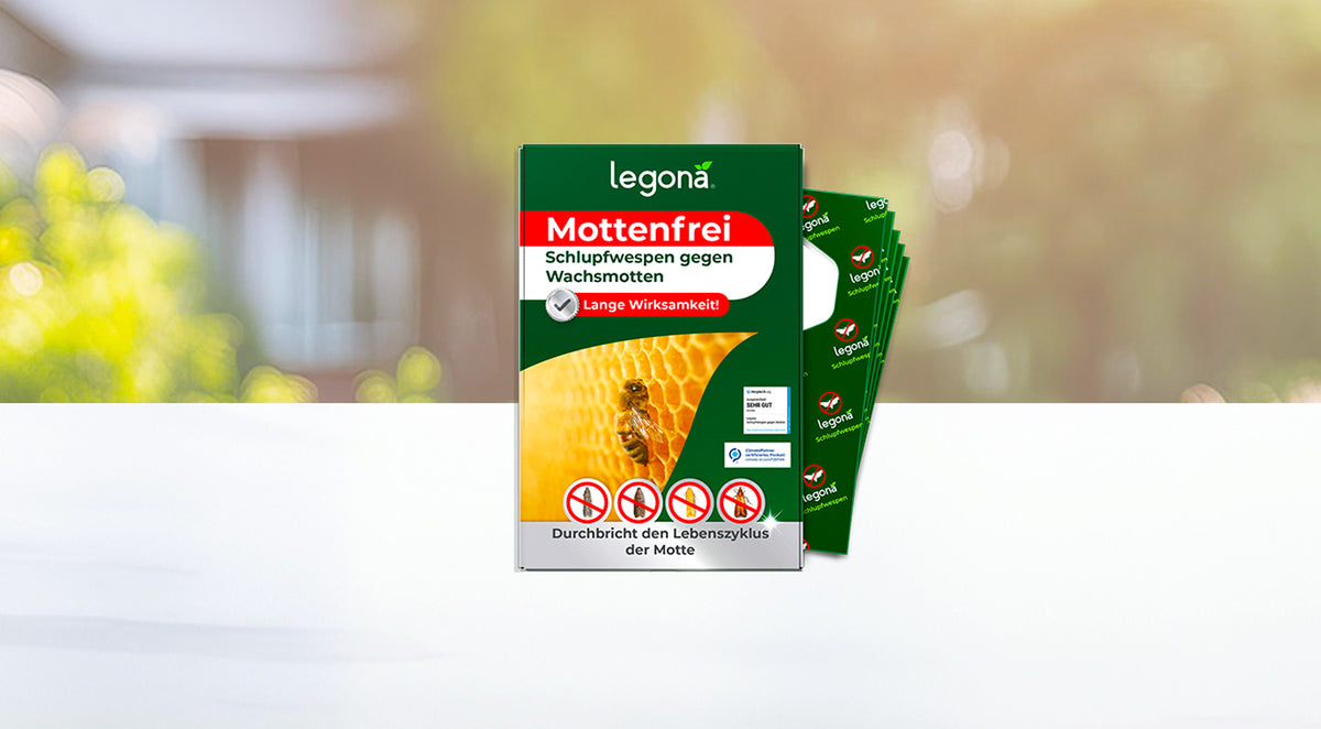 Verpackung von legona Mottenfrei mit Bild einer Biene auf Wabenmuster und Symbolen gegen Motten, im Hintergrund mehrere grüne Trägerstreifen mit legona-Logo