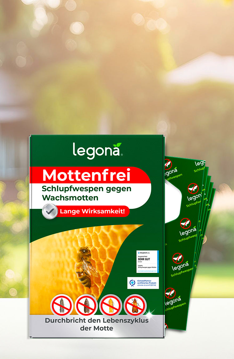 Verpackung von legona Mottenfrei mit Bild einer Biene auf Wabenmuster und Symbolen gegen Motten, im Hintergrund mehrere grüne Trägerstreifen mit legona-Logo