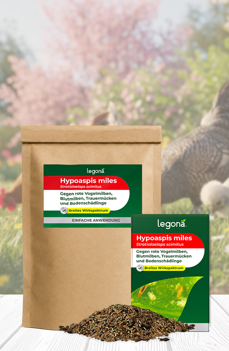 Zwei braune Papiertüten mit grün-roten Etiketten und dem Produktnamen 'Hypoaspis miles' stehen auf einem weißen Holztisch, davor eine kleine Menge des Produkts, im unscharfen Hintergrund Garten mit Hühnern und Blumen.