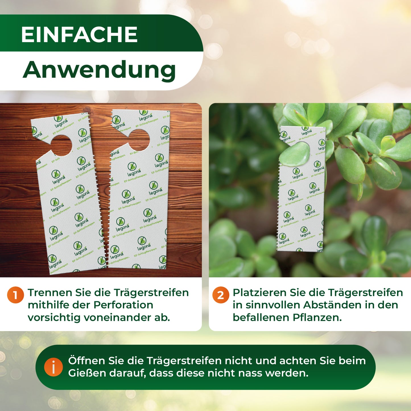 Anwendung von Trägerstreifen anhand zwei Bildern erklärt: Zwei Trägerstreifen mit Loch und Perforation auf Holzuntergrund und ein Trägerstreifen in einer Pflanze mit grünen Blättern