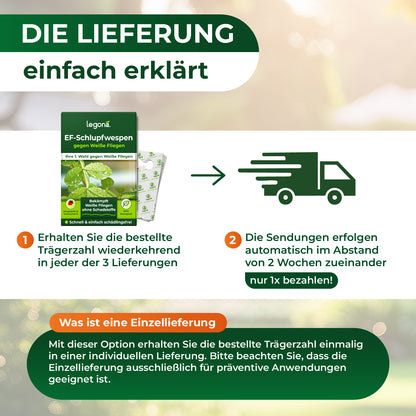 Grafik mit Text zur Erklärung der Lieferung von EF-Schlupfwespen, zeigt Verpackung, Lieferwagen-Symbol und Hinweise zu wiederkehrenden Lieferungen und Einzellieferung.