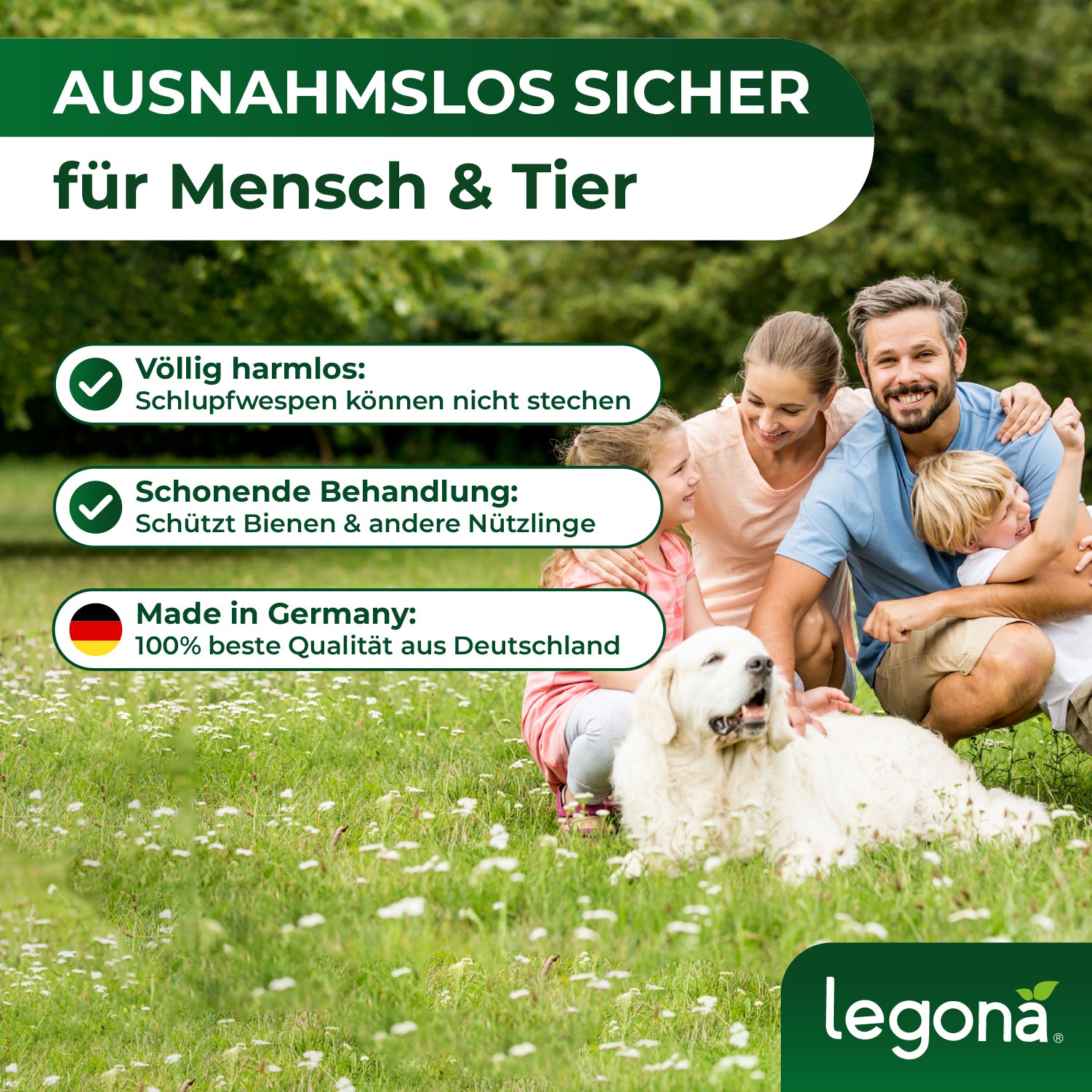 Eine Familie mit Hund sitzt auf einer Wiese, umgeben von grüner Vegetation. Links: drei grüne Sprechblasen mit Text zum Thema 'HARMLOS & SICHER für Menschen & Haustiere' zu sehen