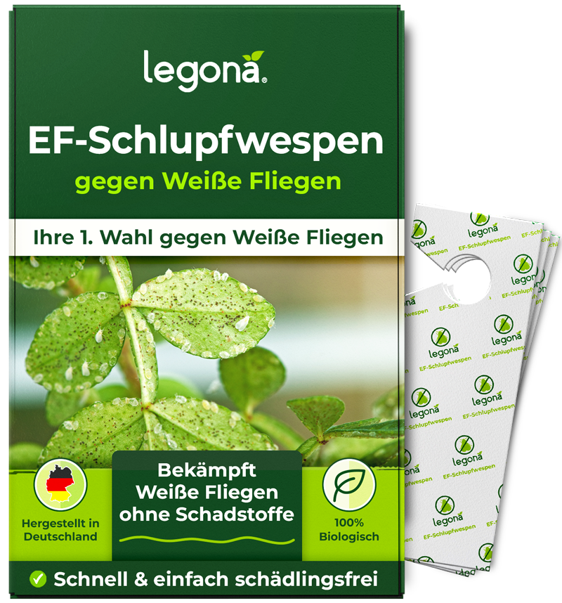 Verpackung von Legona EF-Schlupfwespen gegen Weiße Fliegen mit Abbildung von Blättern, auf denen Weiße Fliegen sitzen, und zwei kleinen weißen Trägerstreifen mit grünem Legona-Logo