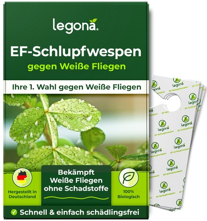 Verpackung von Legona EF-Schlupfwespen gegen Weiße Fliegen mit Abbildung von Blättern, auf denen Weiße Fliegen sitzen, und zwei kleinen weißen Trägerstreifen mit grünem Legona-Logo
