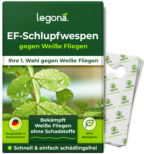 Verpackung von Legona EF-Schlupfwespen gegen Weiße Fliegen mit Abbildung von Blättern, auf denen Weiße Fliegen sitzen, und zwei kleinen weißen Trägerstreifen mit grünem Legona-Logo