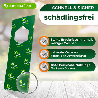 Verpackung mit grünem Design und Lupe zeigt Text 'Legona Florfliegen' vor unscharfem Hintergrund mit Text zu natürlichen Schädlingsbekämpfungsvorteilen