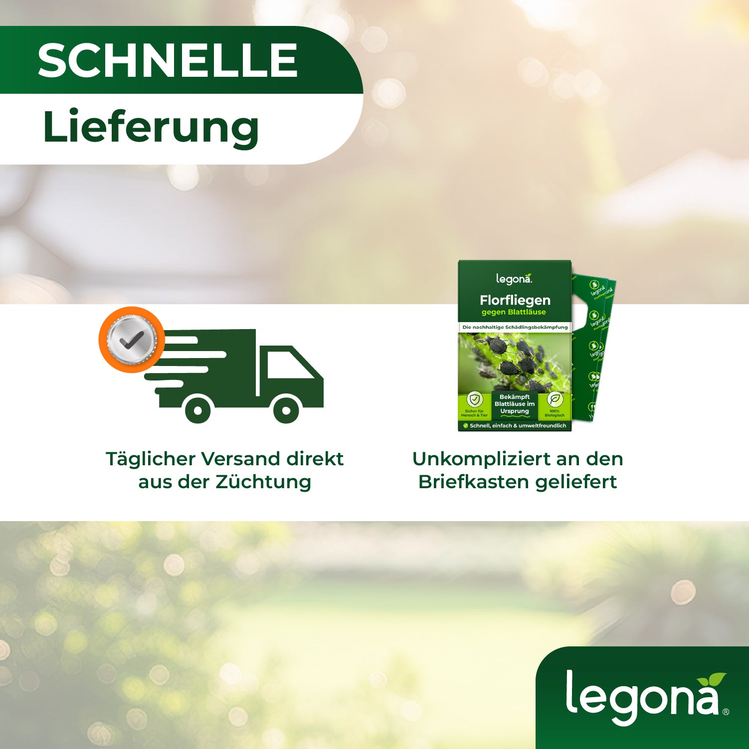 Produktverpackung von Legona Florfliegen gegen Blattläuse neben Symbolen für schnelle Lieferung und täglichem Versand aus der Züchtung