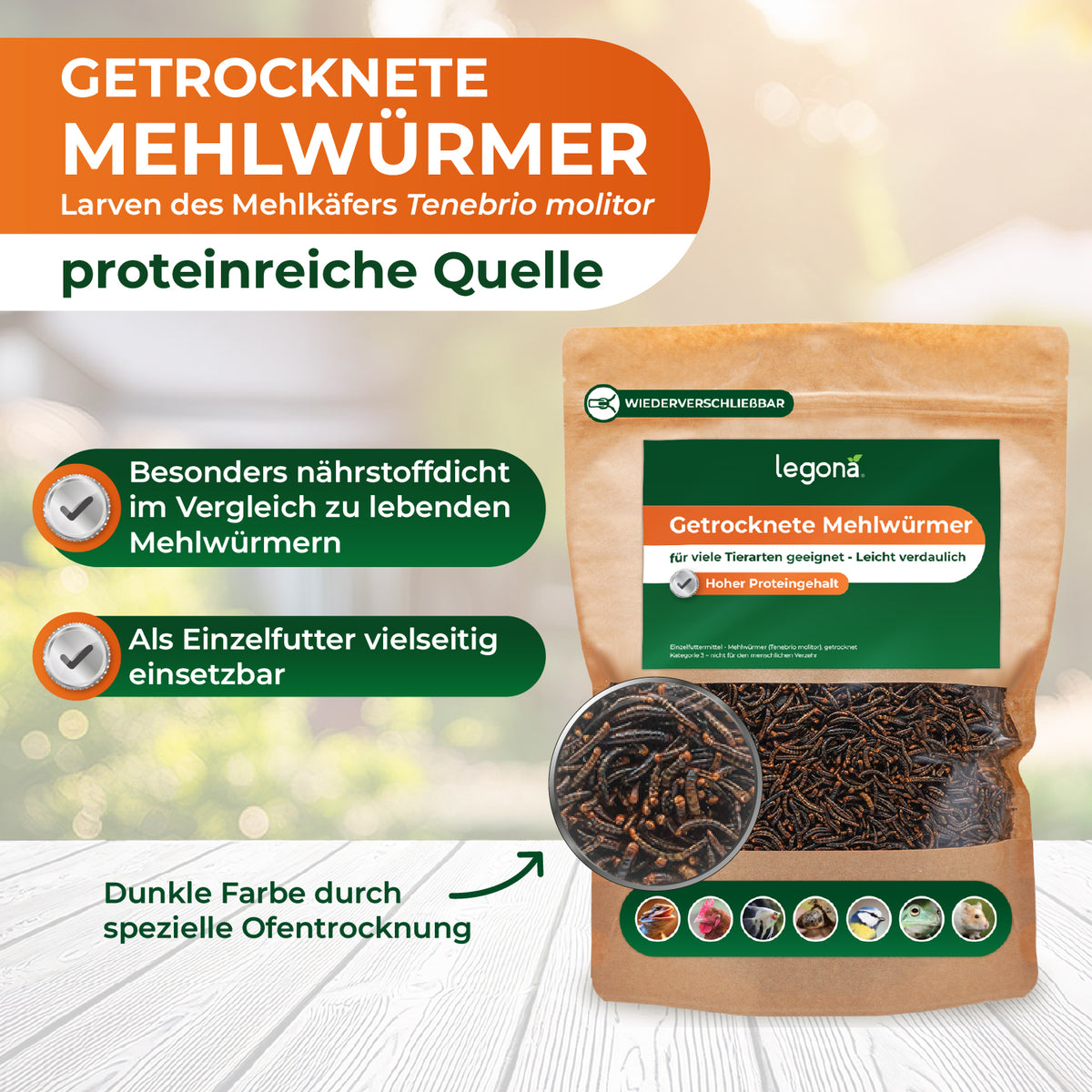 Getrocknete Mehlwürmer