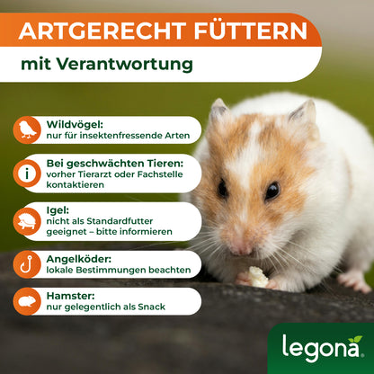Hamster frisst auf dunklem Untergrund mit Text zu artgerechter Fütterung und Verantwortung für Wildvögel, geschwächte Tiere, Igel, Angelköder und Hamster