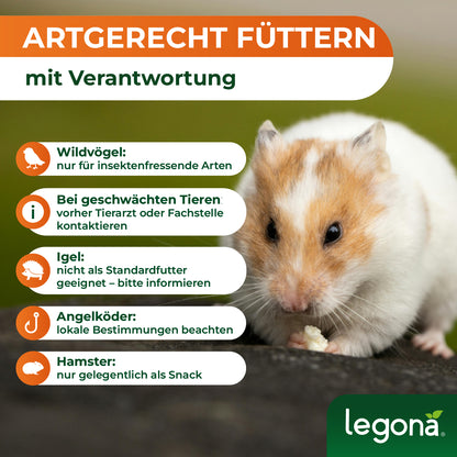 Getrocknete Mehlwürmer