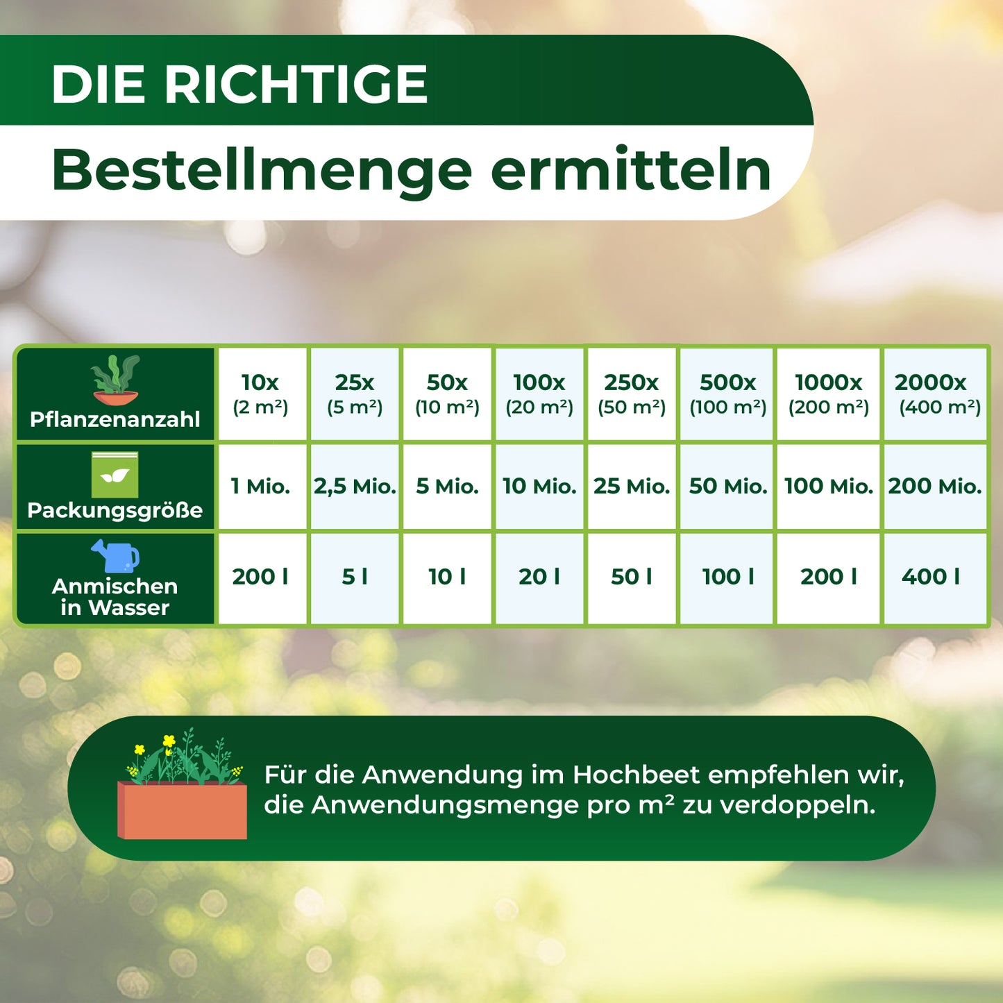 Tabelle zur Ermittlung der Bestellmenge mit Spalten für Pflanzenanzahl, Packungsgröße und Anmischen in Wasser sowie Hinweis zur Verdopplung der Anwendungsmenge pro Quadratmeter für Hochbeete