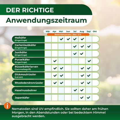 Tabelle mit Anwendungszeiträumen für Nematoden gegen verschiedene Käferarten von März bis Oktober bei Bodentemperatur über 12 Grad Celsius
