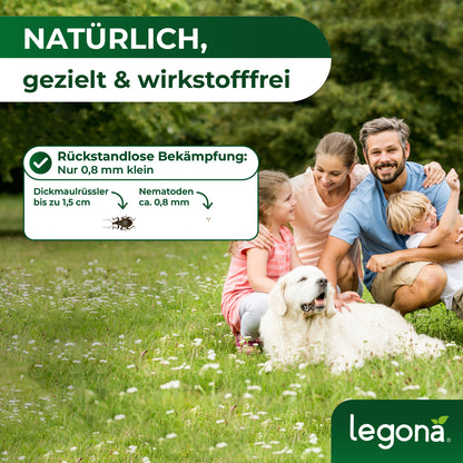 HB-Nematoden gegen Dickmaulrüssler und Engerlinge