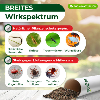 Grafik mit Text zu natürlichem Pflanzenschutz und Bildern von Schädlingen wie Nematoden, Thripse, Trauermücken, Wurzelläusen, roter Vogelmilbe, Schlangenmilben und Terrarienmilben sowie einem umgekippten Behälter mit Granulat auf Holzuntergrund