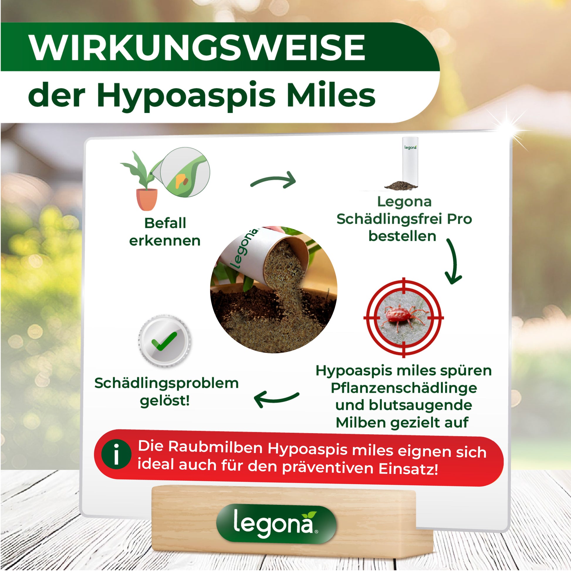 Infografik zur Wirkungsweise von Hypoaspis Miles mit Symbolen für "Befall erkennen", "Bestellung von Legona Schädlingsfrei Pro", "gezieltem Aufspüren von Pflanzenschädlingen und blutsaugenden Milben" sowie "Lösung des Schädlingsproblems", ergänzt durch Hinweis auf präventiven Einsatz