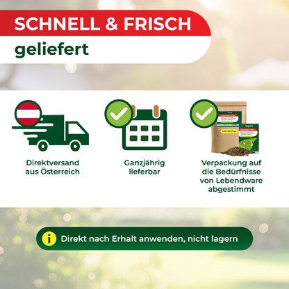 Grafik mit rotem Banner 'SCHNELL & FRISCH geliefert' und drei Symbolen darunter: LKW mit österreichischer Flagge, Kalender mit Häkchen, Verpackung mit Häkchen und Texten zu Versand, Verfügbarkeit und Verpackung, darunter grüner Hinweis 'Direkt nach Erhalt anwenden, nicht lagern'