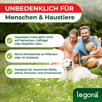 Familie mit zwei Erwachsenen, Kind und Hund sitzt lachend auf einer Wiese mit Text über Unbedenklichkeit von Hypoaspis miles für Menschen und Haustiere