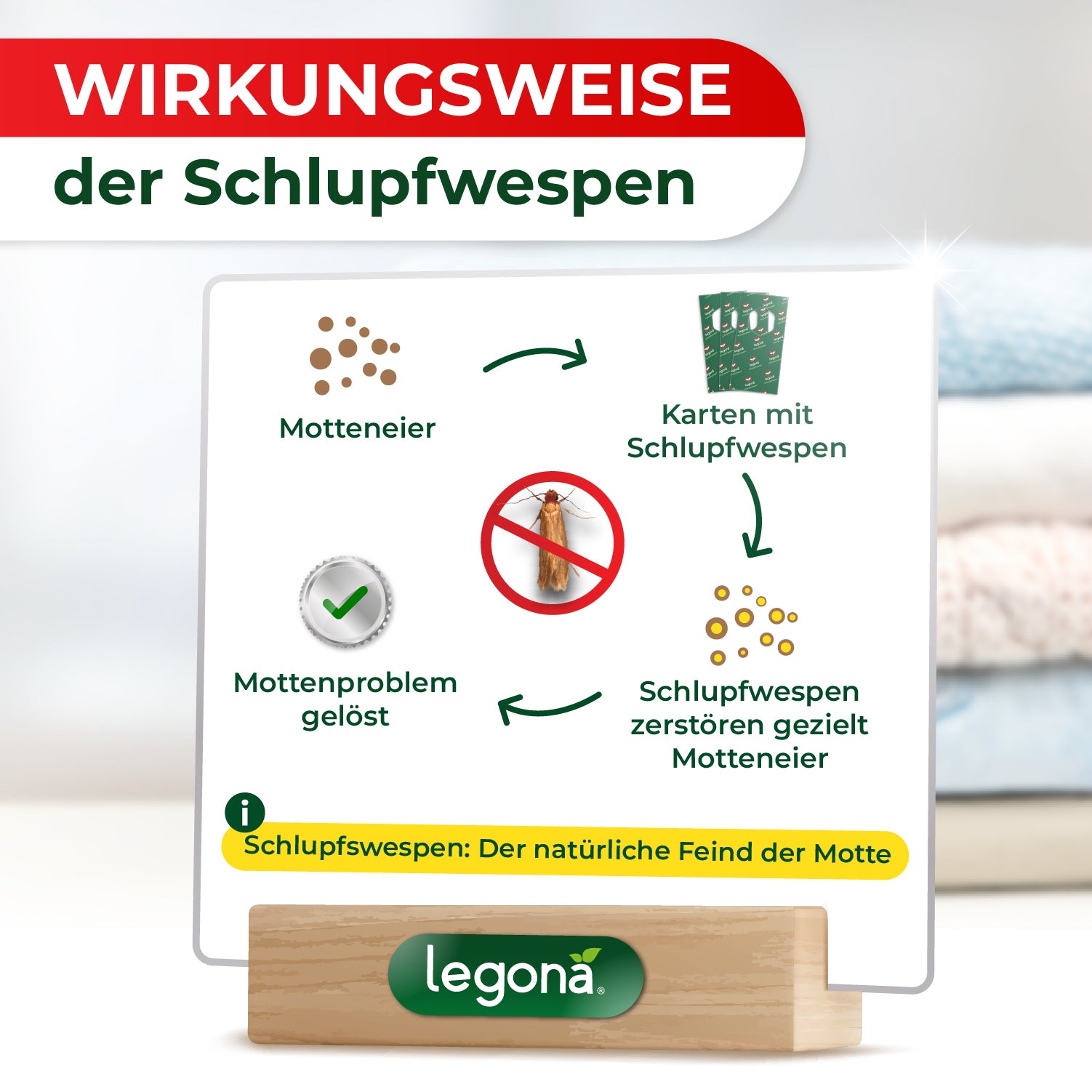 Infografik zur Wirkungsweise der Schlupfwespen mit Symbolen für "Motteneier", "Trägerstreifen mit Schlupfwespen", "zerstörte Motteneier" und "gelöstes Mottenproblem", darunter Text 'Schlupfwespen - Der natürliche Feind der Motte' und Logo 'Legona'