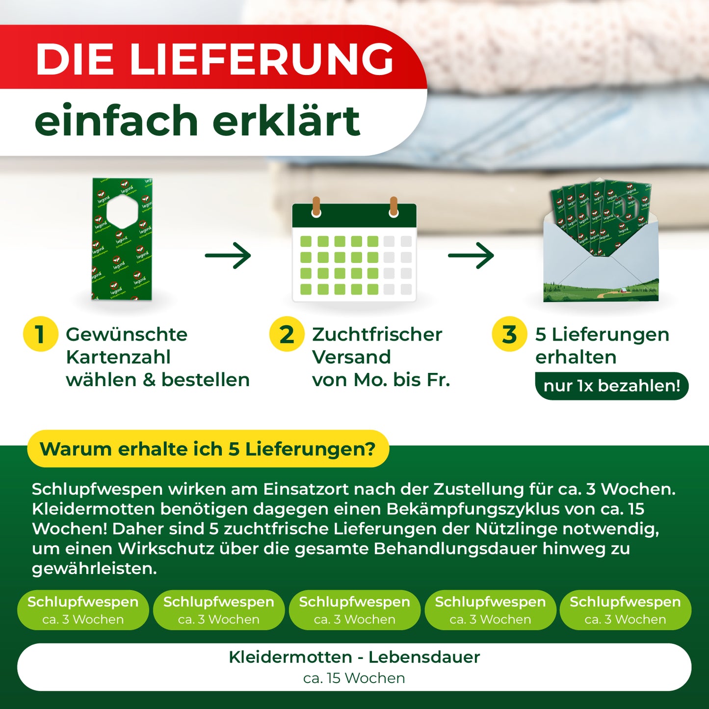 Grafik mit drei Schritten zur Bestellung und Lieferung von Schlupfwespen, darunter Erklärung zur Wirkungsdauer und Lebensdauer von Kleidermotten in Wochen
