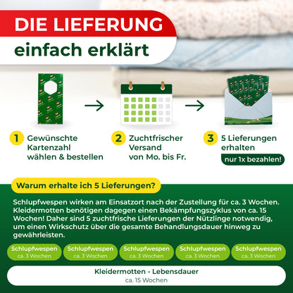 Grafik mit drei Schritten zur Bestellung und Lieferung von Schlupfwespen, darunter Erklärung zur Wirkungsdauer und Lebensdauer von Kleidermotten in Wochen