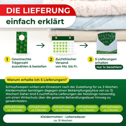 Grafik mit drei Schritten zur Bestellung und Erklärung, warum fünf Lieferungen von Schlupfwespen über drei Wochen notwendig sind, mit Zeitachsen für Schlupfwespen und Kleidermottenlebensdauer