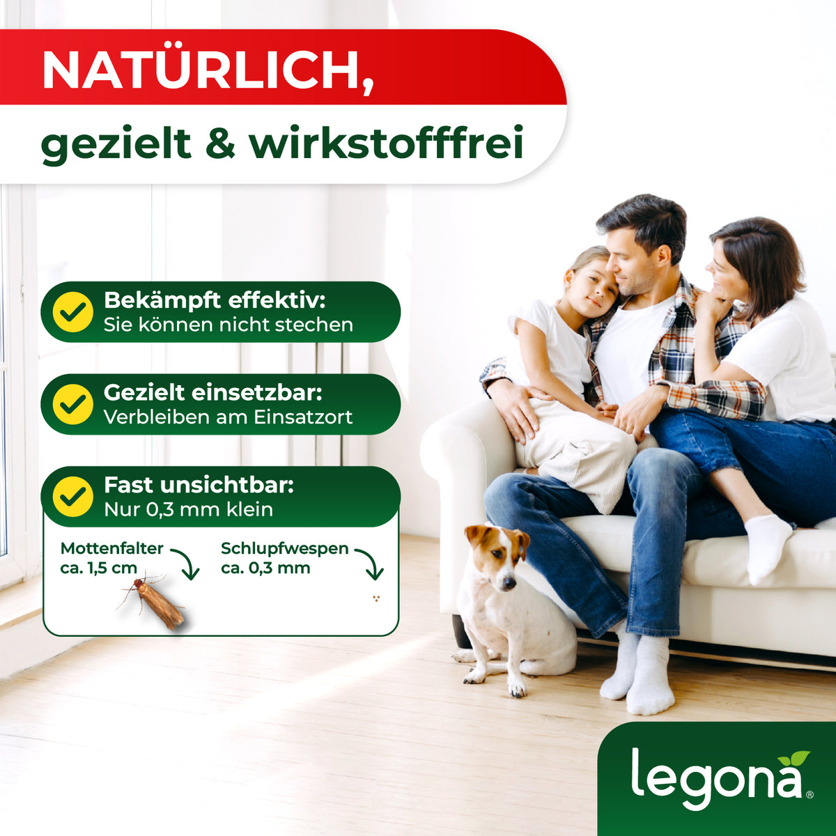 Familie mit zwei Kindern und Hund sitzt auf weißem Sofa in hellem Wohnzimmer neben Textbox mit Informationen zu Schlupfwespen und Mottenfaltern
