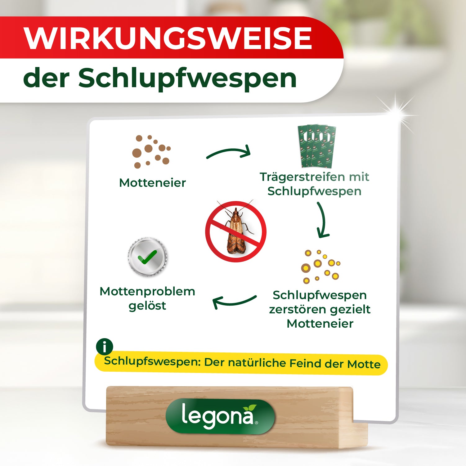 Infografik zur Wirkungsweise von Schlupfwespen mit Kreislaufdiagramm und Texten zu "Motteneiern", "Trägerstreifen", "gezielter Zerstörung der Motteneier" und "gelöstem Mottenproblem"