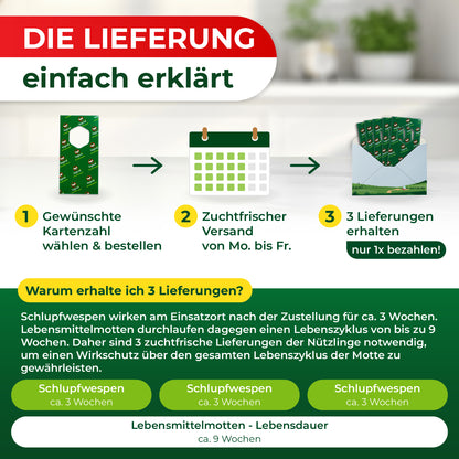 Grafik mit drei Schritten zur Lieferung von Schlupfwespen: 1 Gewünschte Trägerzahl auswählen und bestellen, 2 Zuchtfrischer Versand von Montag bis Freitag, 3 Drei Lieferungen erhalten und nur einmal bezahlen, darunter Erklärung zur Wirksamkeit über drei Wochen und Lebenszyklus von Lebensmittelmotten.