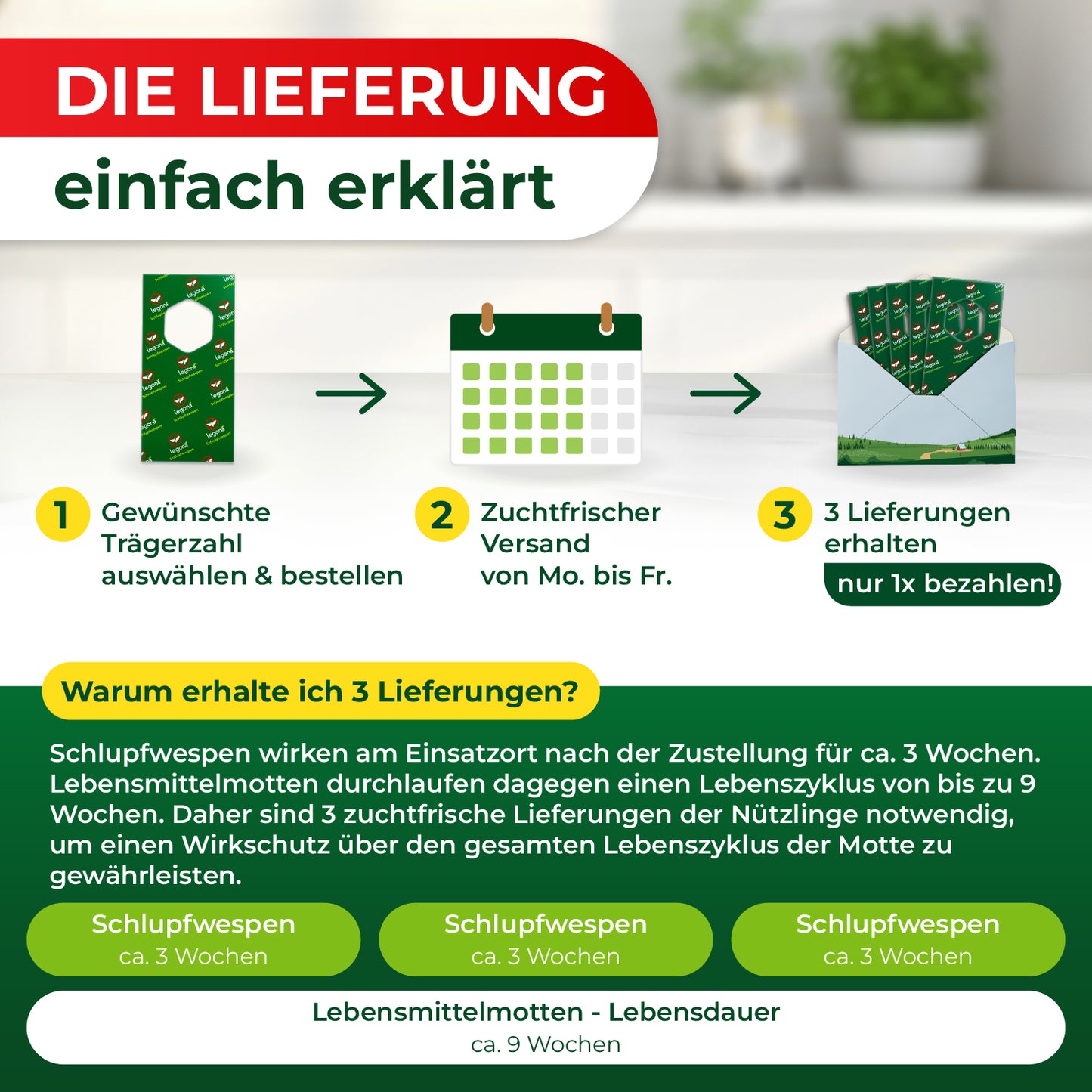 Grafik mit drei Schritten zur Lieferung von Schlupfwespen: 1 Gewünschte Trägerzahl auswählen und bestellen, 2 Zuchtfrischer Versand von Montag bis Freitag, 3 Drei Lieferungen erhalten und nur einmal bezahlen, darunter Erklärung zur Wirksamkeit über drei Wochen und Lebenszyklus von Lebensmittelmotten.