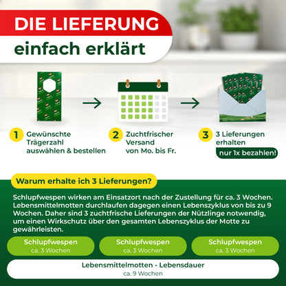 Grafik mit drei Schritten zur Lieferung von Schlupfwespen: 1 Gewünschte Trägerzahl auswählen und bestellen, 2 Zuchtfrischer Versand von Montag bis Freitag, 3 Drei Lieferungen erhalten und nur einmal bezahlen, darunter Erklärung zur Wirksamkeit über drei Wochen und Lebenszyklus von Lebensmittelmotten.