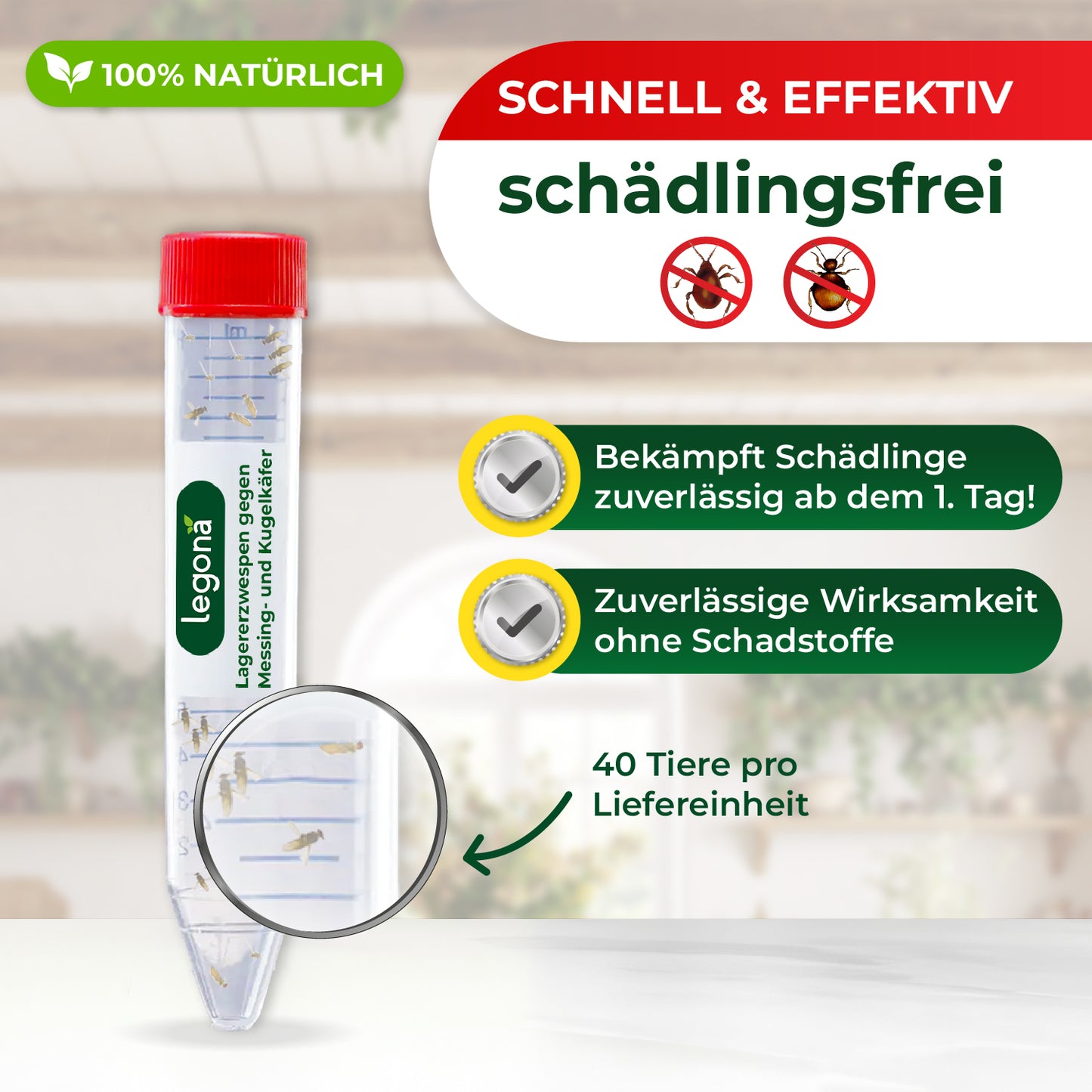 Transparentes Kunststoffröhrchen mit rotem Schraubverschluss und mehreren kleinen Lagererzwespen darin, daneben Text mit Produktinformationen zu Schädlingsbekämpfung