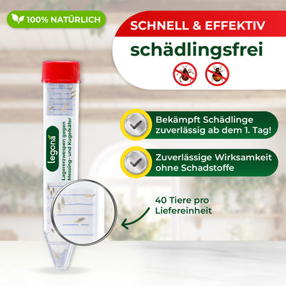 Transparentes Kunststoffröhrchen mit rotem Schraubverschluss und mehreren kleinen Lagererzwespen darin, daneben Text mit Produktinformationen zu Schädlingsbekämpfung