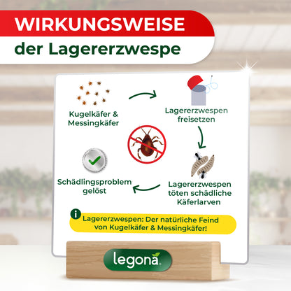 Infografik zur Wirkungsweise der Lagererzwespe mit Kreislaufdiagramm und Texten zur Behandlung von Kugel- & Messingkäfern und Schädlingsbekämpfung
