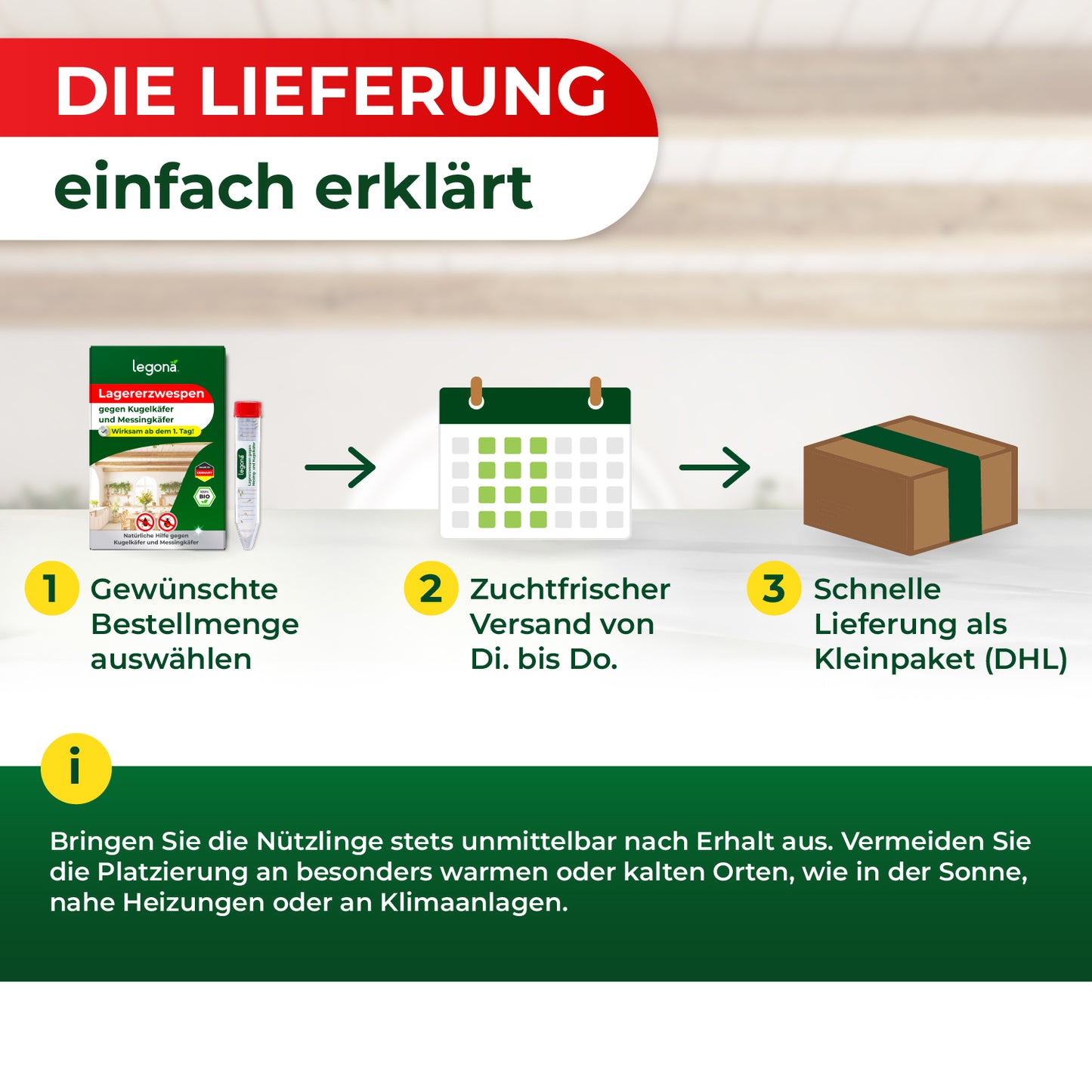 Infografik zur Lieferung mit drei Schritten: Produktverpackung, Kalender mit markierten Tagen, Paketkarton mit grünem Klebeband, dazu Text und Hinweise zur Handhabung der Nützlinge.