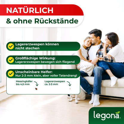 Lagererzwespen gegen Kugelkäfer & Messingkäfer