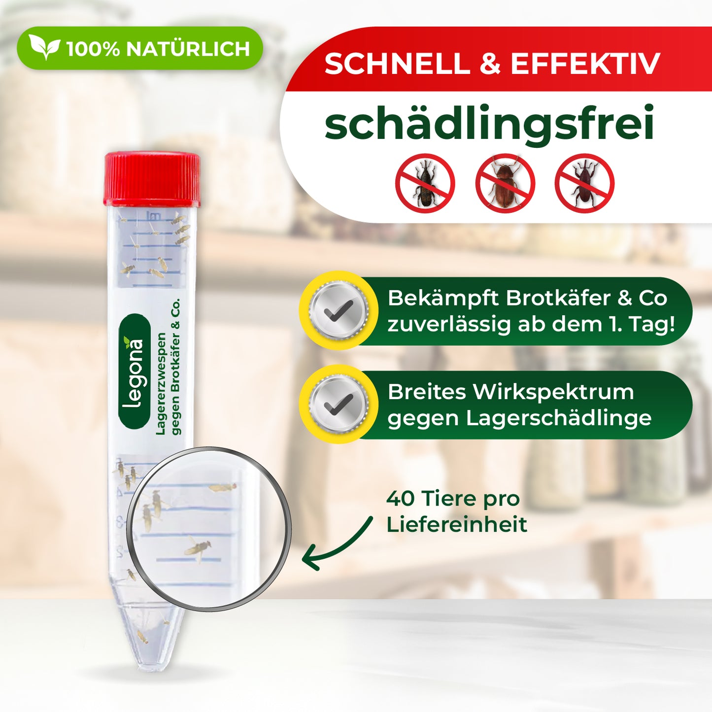 Transparentes Kunststoffröhrchen mit rotem Schraubverschluss und mehreren kleinen Lagererzwespen darin, daneben Text mit Produktinformationen zu Schädlingsbekämpfung
