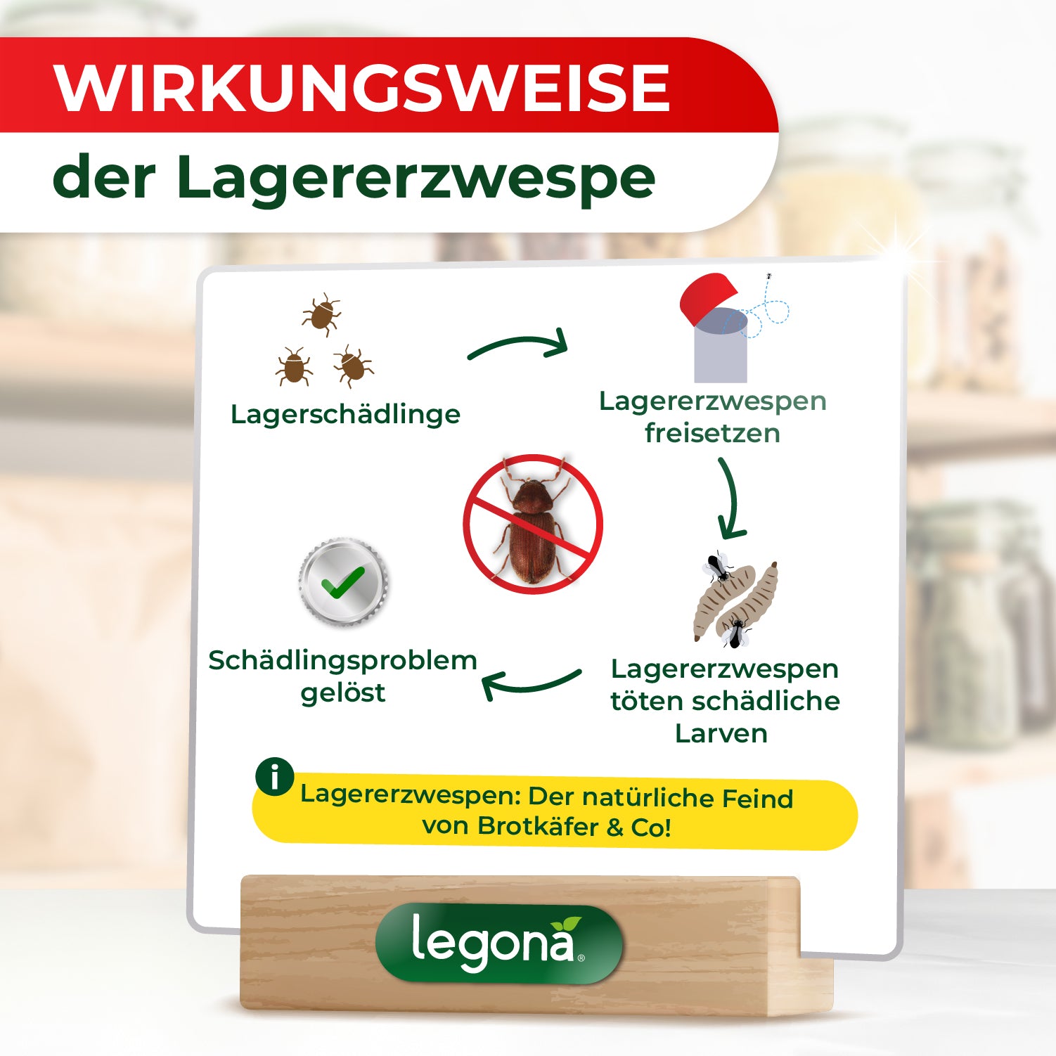 Infografik zur Wirkungsweise der Lagererzwespe mit Kreislaufdiagramm und Texten zur Behandlung von Brotkäfern & Co. und Schädlingsbekämpfung