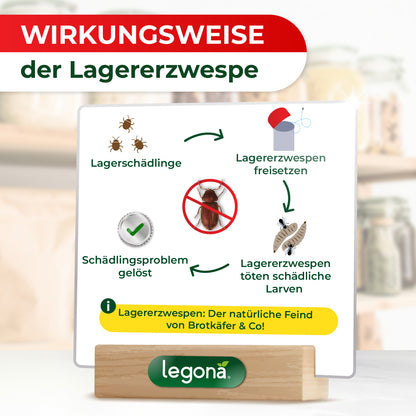 Infografik zur Wirkungsweise der Lagererzwespe mit Kreislaufdiagramm und Texten zur Behandlung von Brotkäfern & Co. und Schädlingsbekämpfung