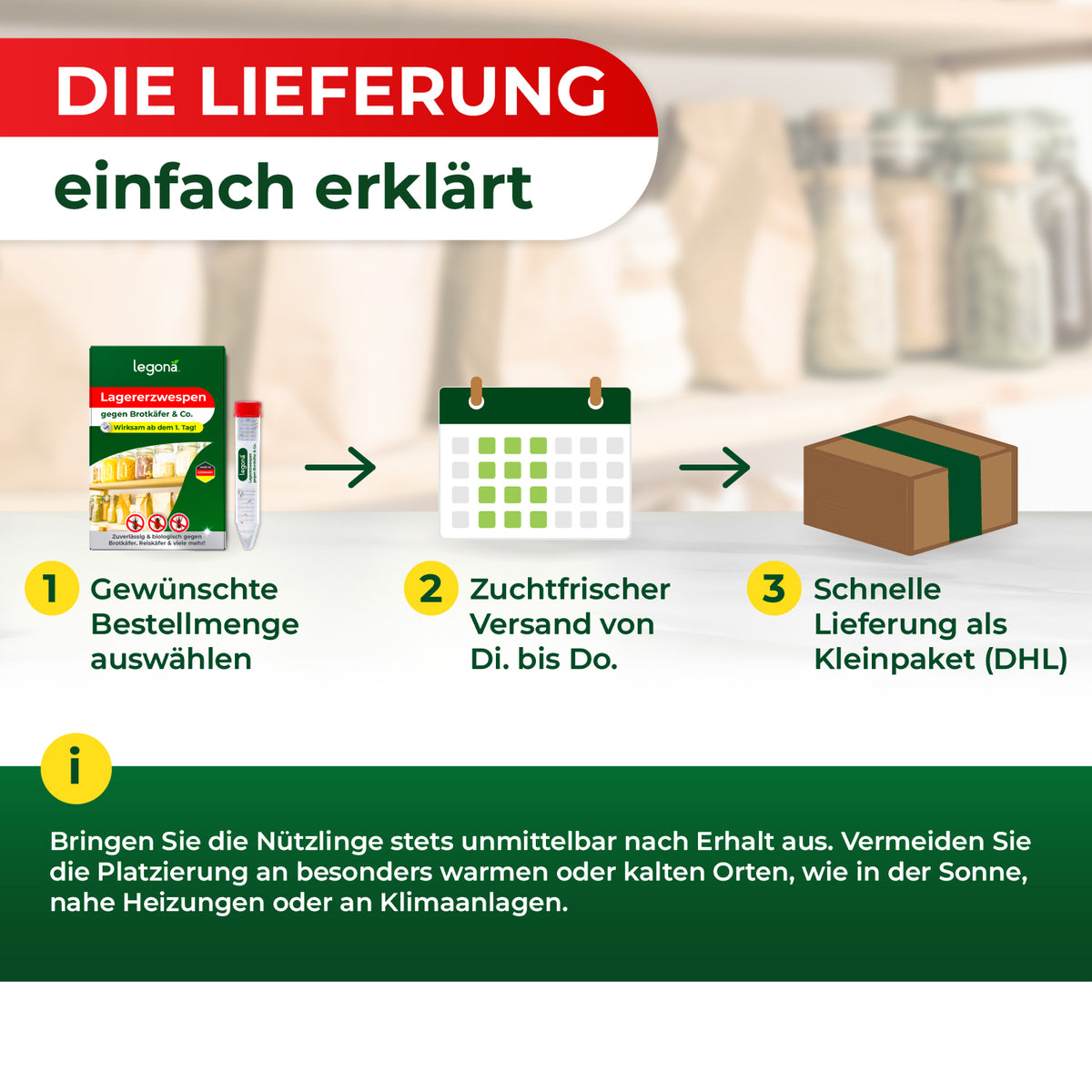 Lagererzwespen gegen Brotkäfer, Reiskäfer & Tabakkäfer