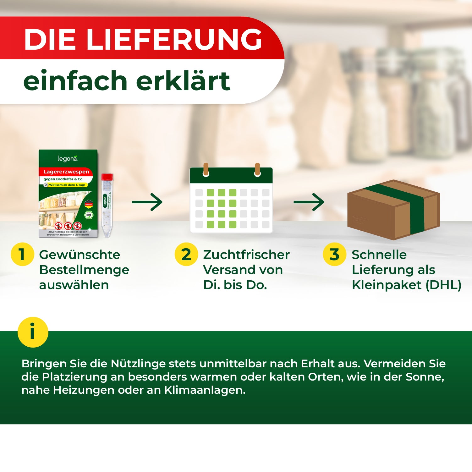 Infografik zur Lieferung mit drei Schritten: Produktverpackung, Kalender mit markierten Tagen, Paketkarton mit grünem Klebeband, dazu Text und Hinweise zur Handhabung der Nützlinge.