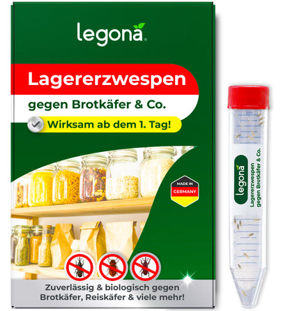 Lagererzwespen gegen Brotkäfer, Reiskäfer & Tabakkäfer
